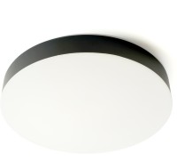 Потолочный светильник  48886 Feron