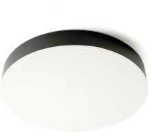 Потолочный светильник  48886 Feron