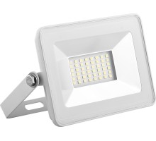 Прожектор уличный  55071 Feron