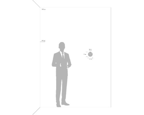 Спот PointFive FR10006CW-L6W Freya