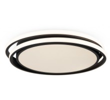 Потолочный светильник Lisoa FR10031CL-L98B Freya