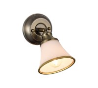 Спот Jasinta FR2272-WL-01-BS Freya