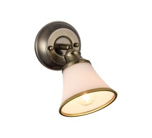 Спот Jasinta FR2272-WL-01-BS Freya