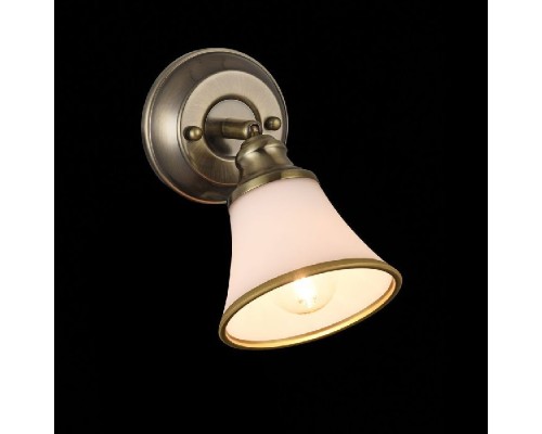 Спот Jasinta FR2272-WL-01-BS Freya