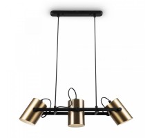 Подвесной светильник Elori FR4005PL-03BBS Freya