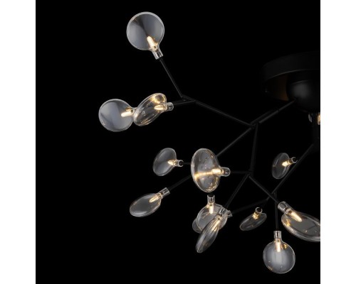 Потолочная люстра Florencia FR5049CL-27B Freya