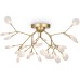 Потолочная люстра Florencia FR5049CL-27G Freya