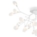 Потолочная люстра Florencia FR5049CL-27W2 Freya