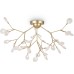 Потолочная люстра Florencia FR5049CL-36G Freya