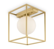 Потолочная люстра Trinity FR5113CL-01G Freya