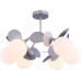 Потолочная люстра Satellite FR5165PL-06S Freya