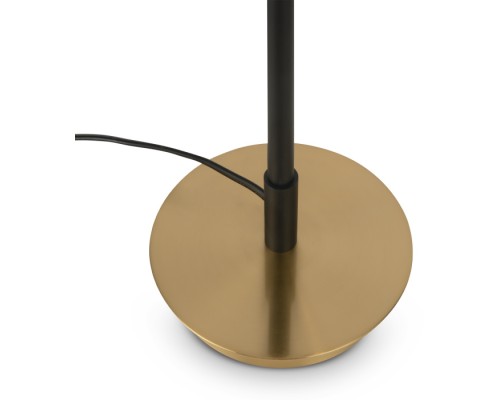 Интерьерная настольная лампа Enzo FR5201TL-01B Freya