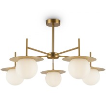 Потолочная люстра Camelia FR5202PL-05BS Freya