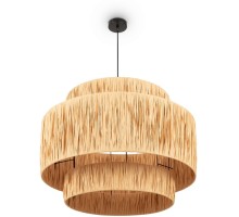 Подвесной светильник AvaGarden FR5249PL-03BG Freya