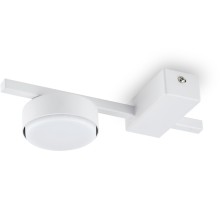 Потолочная люстра Tactic FR5363CL-01W Freya