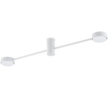 Потолочная люстра Tactic FR5363CL-02W1 Freya