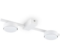 Потолочная люстра Tactic FR5363CL-02W Freya