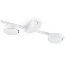 Потолочная люстра Tactic FR5363CL-02W Freya