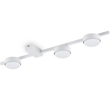 Потолочная люстра Tactic FR5363CL-03W Freya