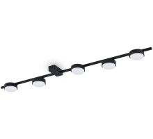 Потолочная люстра Tactic FR5363CL-05B Freya