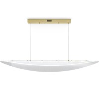 Подвесной светильник Cloud FR5441PL-L40G Freya