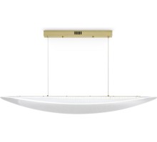 Подвесной светильник Cloud FR5441PL-L40G Freya