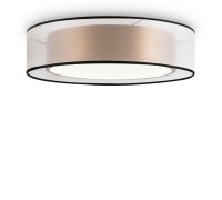 Потолочный светильник Zoticus FR6005CL-L36G Freya