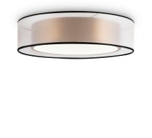 Потолочный светильник Zoticus FR6005CL-L36G Freya