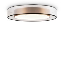 Потолочный светильник Zoticus FR6005CL-L48G Freya