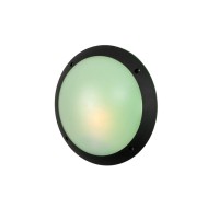 Потолочный светильник уличный Lucia 1R3.000.000.AYE27GN1 Fumagalli