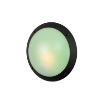 Потолочный светильник уличный Lucia 1R3.000.000.AYE27GN1 Fumagalli