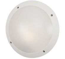 Потолочный светильник уличный Lucia 1R3.000.000.WYE27 Fumagalli