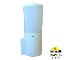 Настенный светильник уличный Amelia DR2.570.000.WYF1R Fumagalli