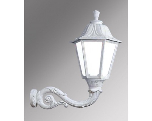 Настенный фонарь уличный Noemi E35.171.000.WYH27 Fumagalli
