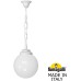 Уличный светильник подвесной GLOBE 250 G25.120.000.WYF1R Fumagalli