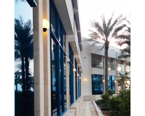 Настенный фонарь уличный GLOBE 250 G25.131.000.AYF1R Fumagalli