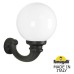 Настенный фонарь уличный GLOBE 300 G30.132.000.AYF1R Fumagalli