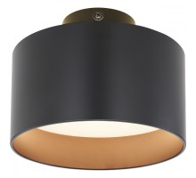 Потолочная люстра Jenny 12016B Globo