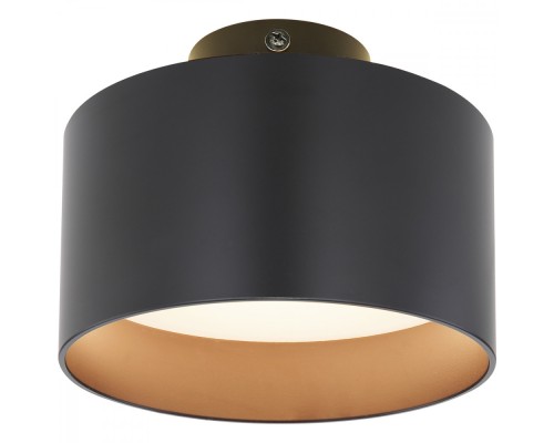 Потолочная люстра Jenny 12016B Globo