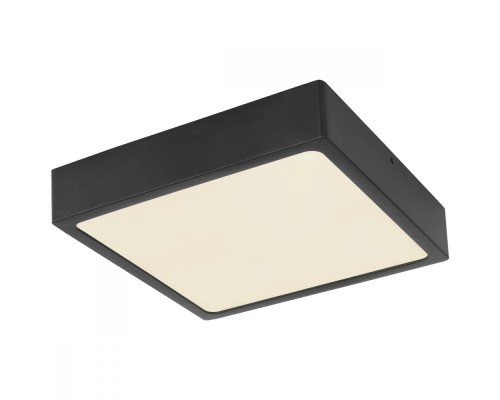 Потолочный светильник Echo 12369-15 Globo