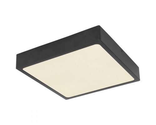 Потолочный светильник Echo 12369-22 Globo