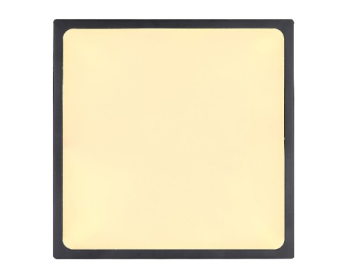 Потолочный светильник Echo 12369-22 Globo