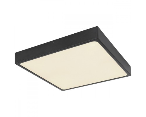 Потолочный светильник Echo 12369-30 Globo