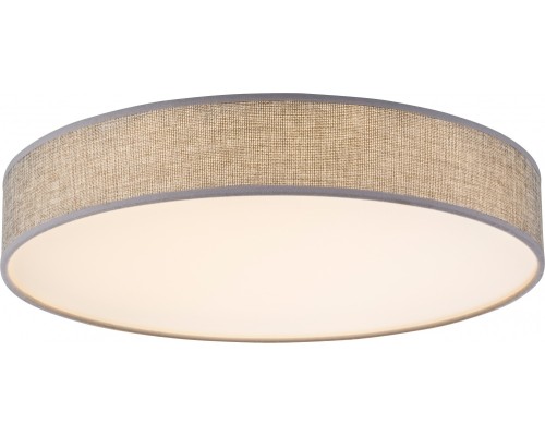 Потолочный светильник Amy 15185D2 Globo