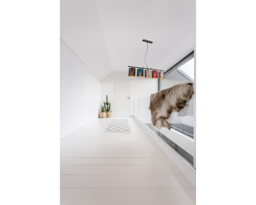 Подвесной светильник Ticon 15266-5H Globo