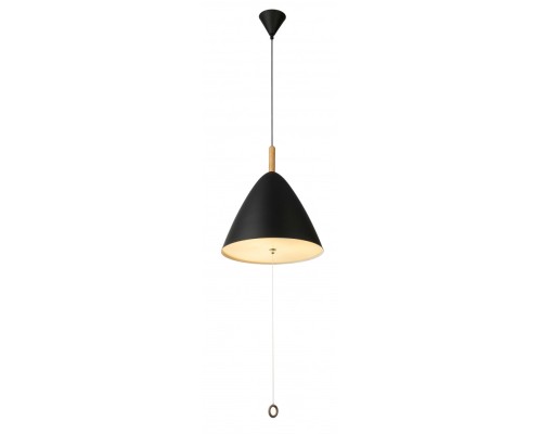 Подвесной светильник Pura 15325B Globo