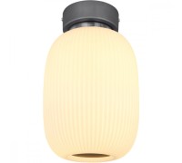 Потолочная люстра Boomer 15437D1 Globo