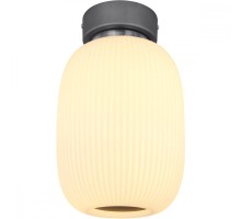 Потолочная люстра Boomer 15437D1 Globo