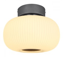 Потолочная люстра Boomer 15437D Globo