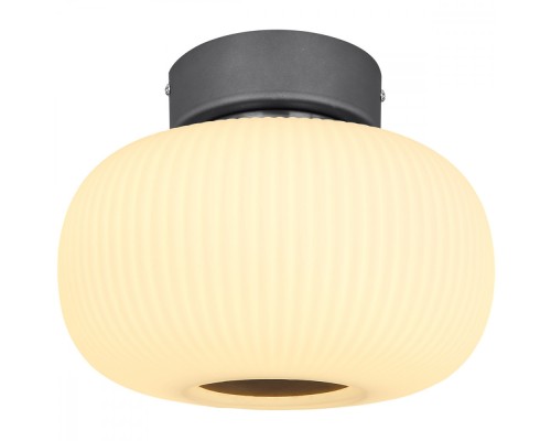 Потолочная люстра Boomer 15437D Globo